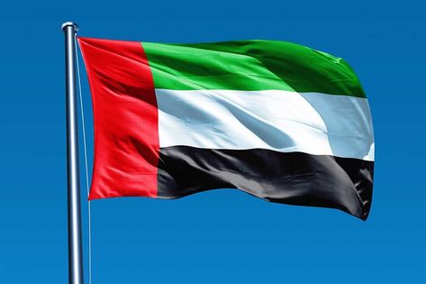 Sheikh Khalifa Bin Zayed, Emirates Flag, Uae Flag, Dubai Architecture, Uae National Day, Golden Jubilee, April 6, Tomorrow Will Be Better, Arab Emirates