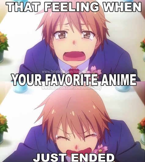 Otaku Problems, Otaku Issues, Anime Facts, Anime Fandom, Anime Jokes, A Silent Voice, Anime Memes Funny, Anime Things, That Feeling