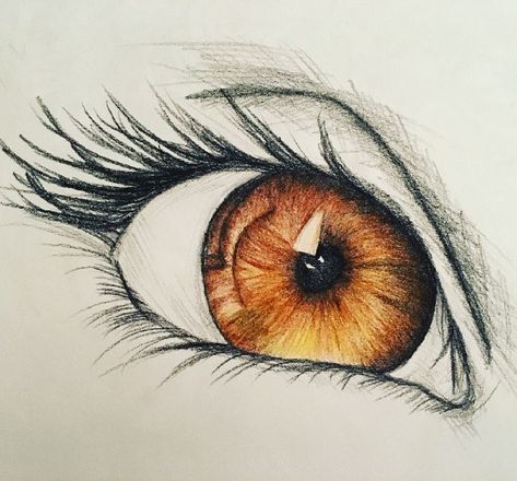 Learn How To Draw A Realistic Eye Drawing Sketch In 8 Easy Steps. Realistic Eye Drawing With Color, Different Eyes Drawing Realistic, How To Colour Eyes With Pencils, How To Draw A Relistic Eye Step By Step, Realistic Eye Acrylic Painting, Eye Outline, Fire Eyes, Realistic Eye Drawing, Eye Drawing Tutorials