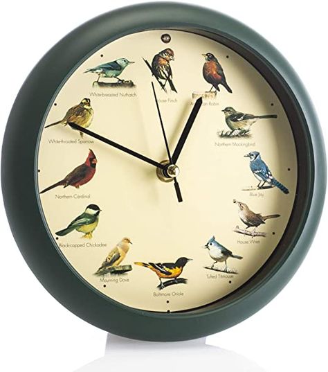 Mark Feldstein & Associates Original Singing Bird Wall/Desk Clock, 8 Inch Dark Clock, Bird Clock, Clock Sound, Bird Habitat, Functional Wall Art, North American Birds, American Songs, American Birds, Bird Calls