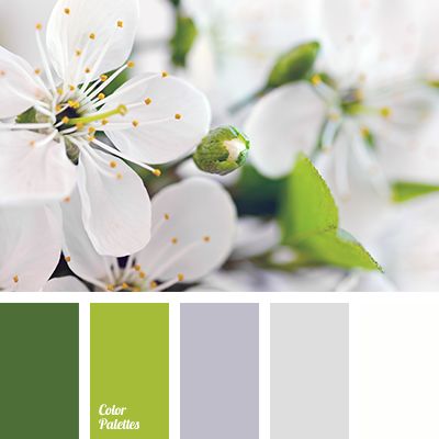 color combination for a wedding, color of leaves, dark green, green hues, greenery, grey, grey hues, Pantone color 2017, silver, silver color, the selection of colors for home, white color. In Color Balance, Silver Color Palette, Color Concept, Color Palette Ideas, Wall Living Room, Color Palette Yellow, Palette Ideas, Grey Color Scheme, Design Seeds