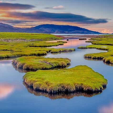 In the Marsh - Sallachan Point, Sallachan, Ardgour . A couple of weeks ago and a sunrise at the salt marsh at Sallachan Point. I keep going… Biomes Project, Salt Marsh, Sunrise Pictures, Amazing Nature Photos, Nature Photographs, Color Collection, Landscape Photos, Keep Going, Blue Water