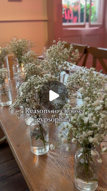 Maddison J Creations on Instagram: "Simplistic yet beautiful table decor 🤍

#weddingideas #weddinginspiration #weddingtablesetting #weddingday #weddingflowers #bridetobe #bridetribe #weddingseason #weddingreels #weddingdecorideas #weddingflorals" Wedding Table Settings, Bride Tribe, Beautiful Table, Wedding Season, Table Decor, Floral Wedding, Wedding Decor, Wedding Flowers, Wedding Decorations