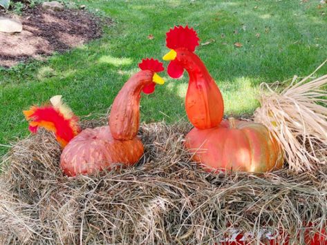 Did Your Pumpkin Become a Rooster? - Crafts a la mode Farm Themed Pumpkins, Chicken Painted Pumpkin, Goat Pumpkin Painting, Farm Animal Pumpkins, Chicken Pumpkin Painting, Chicken Pumpkin Decorating, Pumpkin Farm Animals, Rooster Pumpkin, Fall Decor Pumpkins