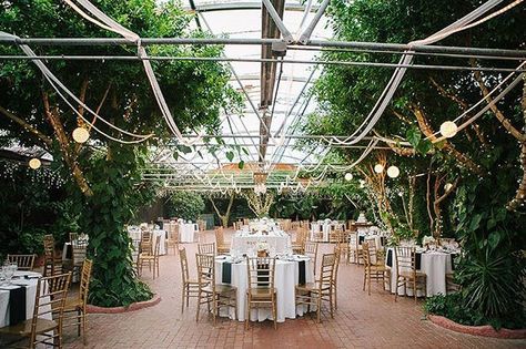 18 Gorgeous Garden Wedding Venues in the US | Brit + Co Boojum Tree, Hidden Gardens, Garden Wedding Venues, Getting Married Abroad, Arizona Wedding Venues, Garden Reception, Hidden Garden, Surprise Wedding, Date Today