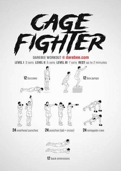 DAREBEE 2200+ Workouts Warrior Motivation, Boxer Workout, Fighter Workout, Circuit Training Workouts, Hiit Workouts For Beginners, Full Body Dumbbell Workout, Body Combat, Fitness Board, Strength And Conditioning