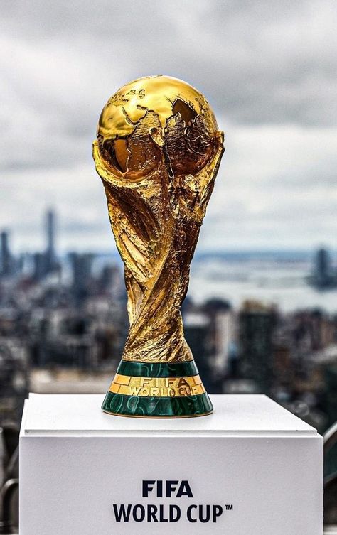 Soccer World Cup Trophy, World Cup Wallpaper, Soccer Trophies, Fifa World Cup Trophy, Usa Flag Wallpaper, Soccer Awards, Soccer Trophy, Football Trophy, Benfica Wallpaper