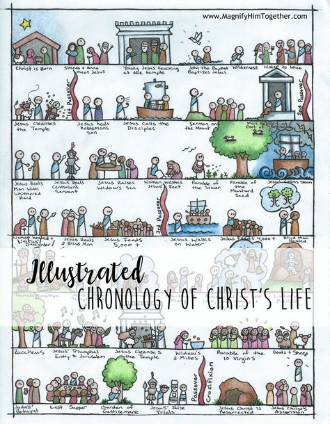 {Thank you Erin S. for this illustrated Life of Christ!} The sequel for the Illustrated Old Testament Chronology is here!  This illustration is perfect for a Bible insert, SS notebook page, poster…. the possibilities are endless! See also the illustrated chronology of Acts by Erin!   PS Check out the chronology art printed onto a... Bible Timeline, Scripture Writing Plans, Homeschool Geography, Life Of Christ, Tarot Astrology, Ayat Alkitab, Bible Activities, Bible Lessons For Kids, Jesus Lives