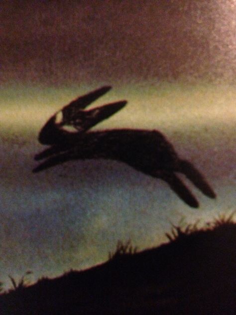 Watership Down, Stay Healthy, The Question, Rabbits, Diet