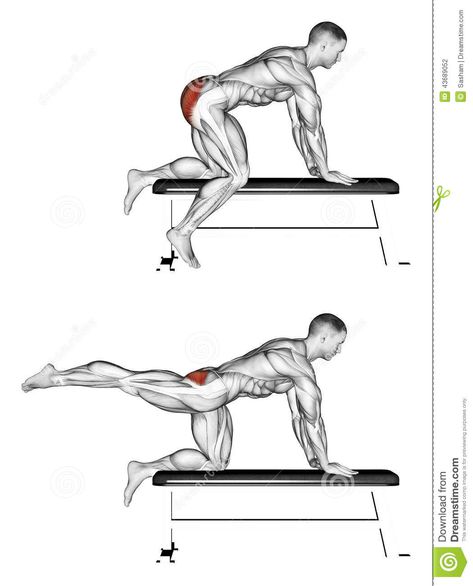 Exercising. Foot Moves Back To The Bench Stock Illustration - Illustration of bodybuilding, final: 43689052 Food Vitamins, Big Muscle, Bench Workout, Phil Heath, Tracy Anderson, Muscle Food, Trening Fitness, Fitness Gear, Muscle Training