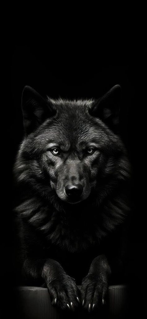 Iphone Wallpaper Wolf, Big Cat Tattoo, Iphone Wallpaper Hd, Cool Galaxy Wallpapers, Hd Dark Wallpapers, Wolf Photography, Wolf Artwork, Alpha Wolf, Goth Wallpaper