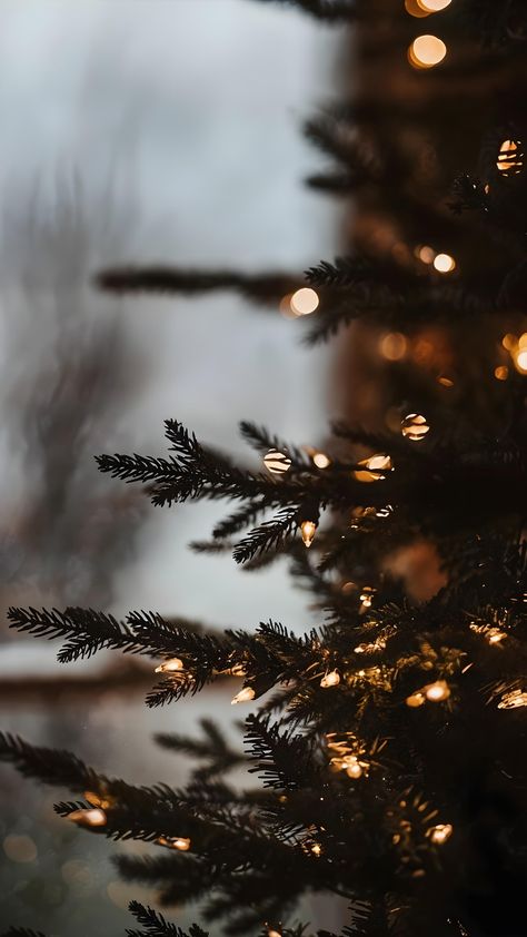 Christmas Aesthetic Wallpaper Iphone, Christmas Instagram Pictures, Christmas Tumblr, Christmas Lights Wallpaper, Picture Tree, Christmas Aesthetic Wallpaper, Christmas Wallpaper Backgrounds, Christmas Phone Wallpaper, Aesthetic Wallpaper Iphone