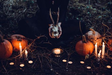 Using Baneful Magick: Cursing, Binding, Banishing | Gwyn Origin Of Halloween, Traditional Witchcraft, Black Magic Removal, Baby Witch, Horror Books, Best Horrors, Witchy Woman, Scary Stories, Samhain