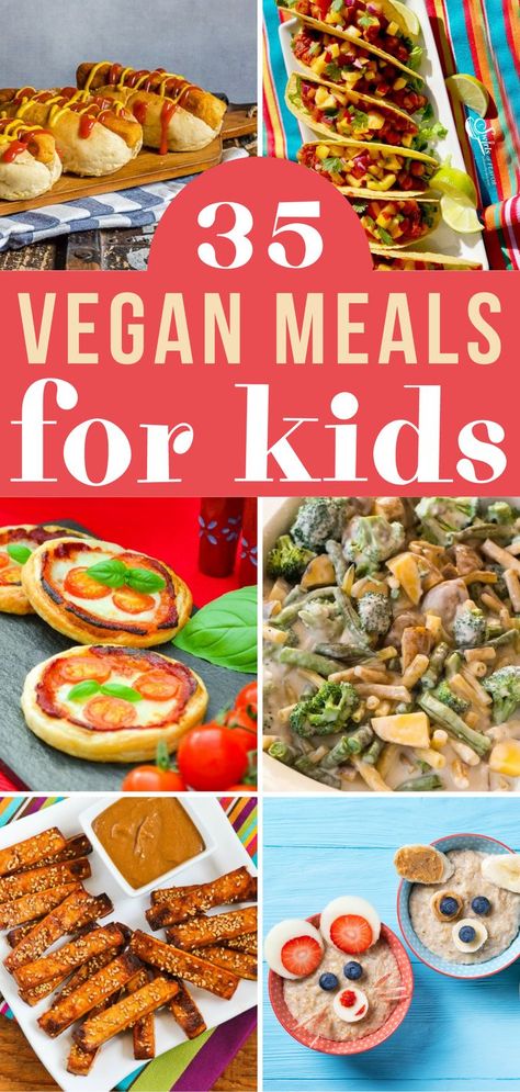 Vegan For Non Vegans, Easy Cheap Vegan Dinner, Simple Vegan Meals For Beginners, Kids Vegan Breakfast, Easy Vegan Family Meals, Vegan School Lunch For Kids, Kid Vegan Meals, Vegan Kids Breakfast, Picky Vegan Recipes