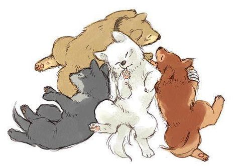 Pups Anime Puppy, Sif Dark Souls, Wolf's Rain, Wolf’s Rain, Wolf Puppy, Baby Wolves, Wolf Sketch, Puppy Drawing, Baby Wolf