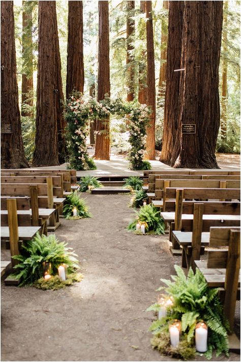 Outdoor Wedding In The Woods, Twilight Wedding Theme, Outdoor Woodsy Wedding, Boho Forest Wedding, Woodland Ceremony, Bellas Wedding, Forest Wedding Ceremony, Twilight Wedding, Redwood Wedding