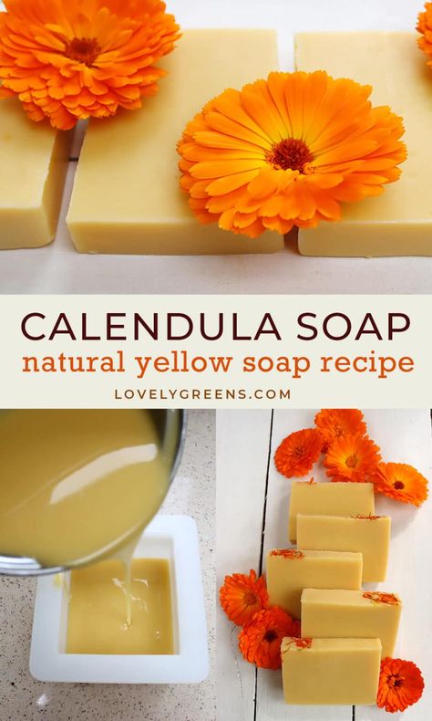 Make this Calendula-Infused Oil Soap Recipe for Natural Yellow Soap Herbal Bath Recipes, Natural Soap Colorants, Homemade Balm, Calendula Soap, Beeswax Soap, Lovely Greens, Witchy Kitchen, Flowers For Decoration, Cold Process Soap Recipes