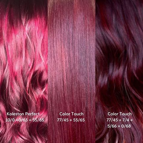 Wella Professionals Nordic on Instagram: “Now these are #VeryBerry colors that for sure will turn heads!! 🤩✨ Give the creators of these beauties @hairstylist_louise , @sofia.wella…” Burgundy Hair Formula, Bright Burgundy Hair, Maroon And Pink Hair, Vivid Red Hair Color, Cherry Cola Red Hair, Burgundy And Pink Hair, Cherry Pink Hair, Red Hair Formulas, Cherry Wine Hair Color Burgundy