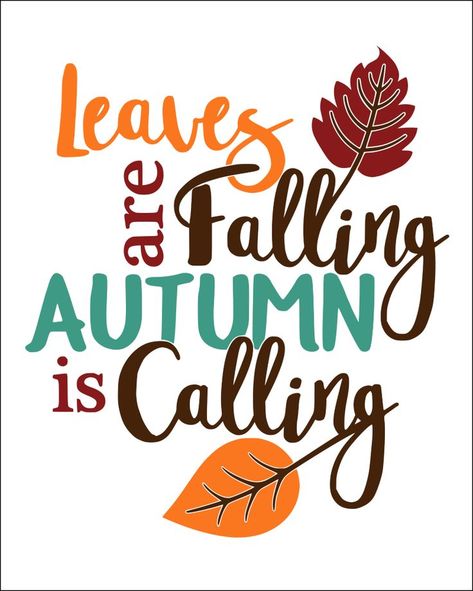 Fall Quote Free Printables perfect for Fall Decorating! OHMY-CREATIVE.COM | Pumpkin Printable | Autumn Printables | Fall Sayings Printables | Autumn Sayings | Fall Season quotes | Fall Signs | Fall Captions | Fall Decor Ideas | Give Thanks Printable | Harvest | Fall Leaves Fall Season Quotes, Autumn Sayings, Autumn Printables, Fall Sayings, Fall Quote, Fall Quotes, Season Quotes, Pumpkin Printable, Fall Printables