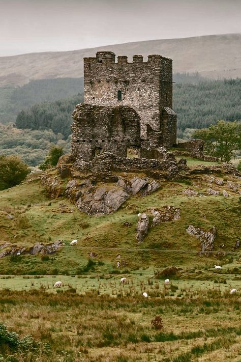 Dolwydean Castle in Wales beautiful old Castle is abandoned and in Ruins Dunotter Castle, Overgrown Castle, Castles Aesthetic, Wales Castles, Fantastical Architecture, Ancient Scotland, Old Ruins, Castles In Wales, 2025 Goals