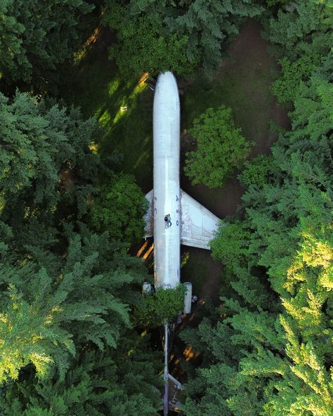 —— what i mean when i say i know a spot ✈️🌲 📍Hillsboro, Oregon #airplanehome #portlandoregon #naturephotography #dronephoto #pineforest #outdoorsygals #naturelover #oregoncoastroadtrip #hwy1 #visitoregon Hillsboro Oregon, Port Orford Oregon, Thors Well Oregon, Oregon Coast Roadtrip, Oregon Sights, Hoyt Arboretum Portland Oregon, Visit Oregon, Metolius River Oregon, Drone Photos