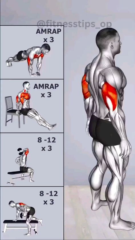 Tricep Workout Gym, Tricep Workouts, Chest And Tricep Workout, How To Gain Muscle, Bicep And Tricep Workout, Tricep Workout, Gym Workout Guide, Workout Program Gym, Best Gym Workout