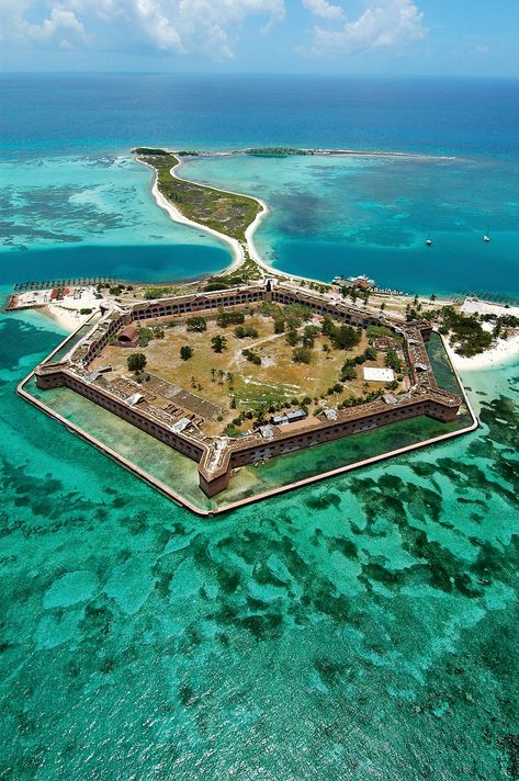 Florida National Parks, Dry Tortugas National Park, Dry Tortugas, Hammerhead Shark, Coral Reefs, Destination Voyage, Florida Travel, Florida Keys, Elba