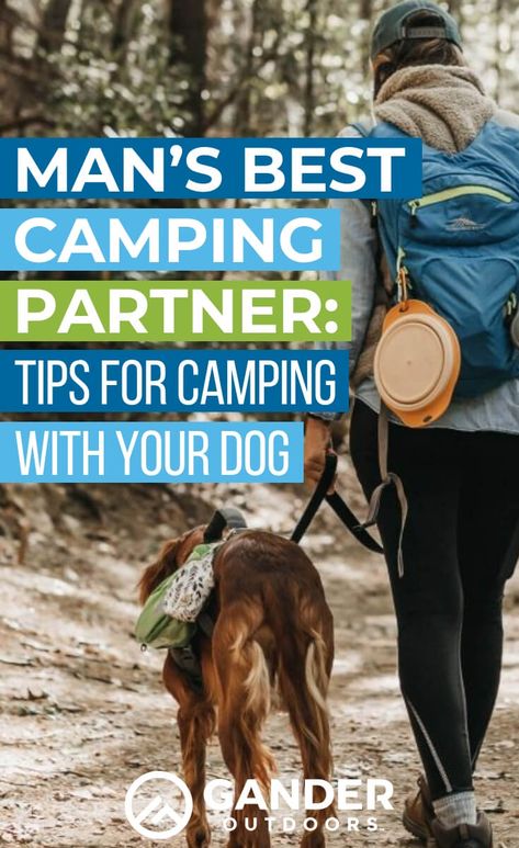 As a dog owner, it’s hard to say no to those big, puppy-dog eyes, pleading for you to take them with you. Especially when you know they want to go with you so badly! The good news is that you can bring your pooch camping with you. All you need is some preparation ahead of time and the right gear. Soon, your best bud at home will be your best bud at the campsite too. Read this article for some tips and tricks for camping with your dog. #camping #campingtips #campinghacks #campingwithpets Camping With A Dog, Hyper Dog, Dog Wellness, Puppy Dog Eyes, Dog Camping, Dog Nutrition, Dog Eyes, Camping Tips, Obedience Training