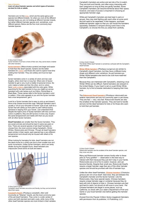 Types of Hamsters Hamster Types, Types Of Hamsters, Hamster Species, Hamsters As Pets, Hamster Habitat, Hamster Care, G Force, Pocket Pet, Rodents