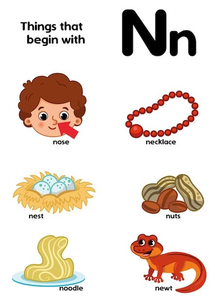 Things that start with the letter n educ... | Premium Vector #Freepik #vector #kindergarten-school #worksheet #kids-worksheet #kids-alphabet Classroom Awards Certificates, Letter W Activities, Letter N Worksheet, Word Family List, Alphabet Flash Cards Printable, Counting Worksheets For Kindergarten, Free Kindergarten Printables, Free Printable Alphabet Worksheets, Family Worksheets