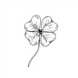 Shamrock Sketch, Clover Sketch, Pure Tattoo, Leaf Tattoo Design, Blatt Tattoos, Cousin Tattoos, Four Leaf Clover Tattoo, Clover Tattoo, Shamrock Tattoos