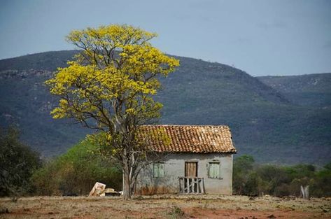 Rural Landscape Architecture, Watercolor Reference Landscape, Simple Landscape Reference, Old House Photography, Rural Photography, Simple Landscape, Environment Painting, Nature Sketch, Landscape Photography Nature