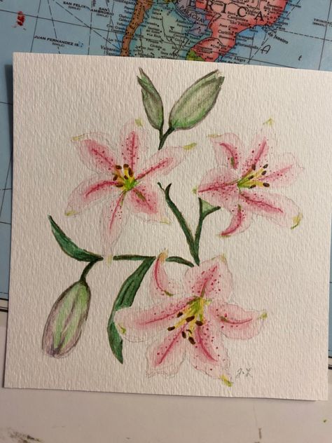 Inspired by KariSketches https://www.karisketches.com/listing/579884113/floral-illustration-print-lilies-gift?ssp_iabi=1684069491 Pink Lily Flower Drawing, Lilly Watercolor Painting, Lily Pads Drawing, Watercolour Lilies, Watercolor Lilly, Watercolour Lily, Lily Flower Watercolor, Watercolor Lilies, Lilies Watercolor