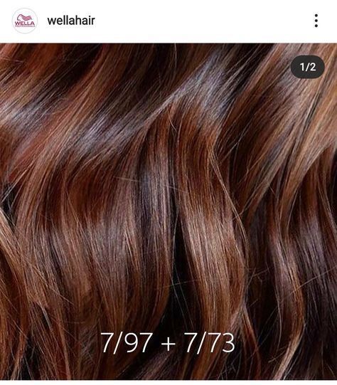 Chestnut Brown Hair, Wella Hair Color, Golden Brown Hair, Natural Curly Hair Cuts, Hair Color Formulas, Wella Hair, Wella Color, Hair Techniques, Vegan Hair