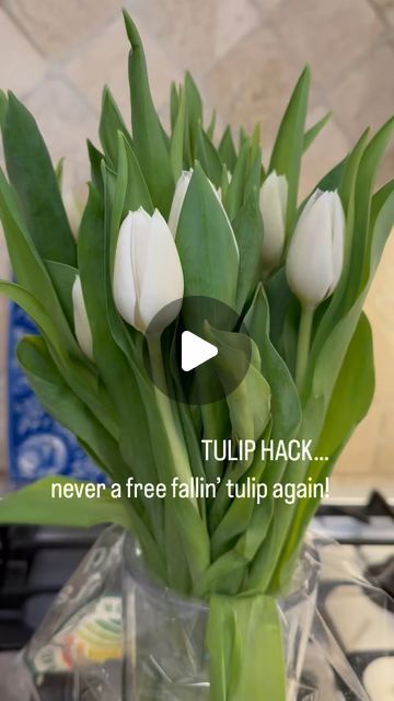 Paula's Palate on Instagram: "Happy Fresh Flower Friday! Tulips are in abundance this time of year and I had to share a Tulip Hack I learned. 

I guarantee you, you will never have FREE FALLIN’ TULIPS ever again! 

Before arranging tulips or placing them in water, take a pin and poke the tulip stem below the bloom. Tulips stand at attention every single time until they play out. 🌷

#freshflowerfridays #flowersmakemehappy #tulipsofinstagram #springtulips #tuliphack #freefallin #nofreefallintulips" Standing At Attention, Spring Tulips, Fresh Flower, Fresh Flowers, Tulips, Plants, Water, Flowers, Instagram