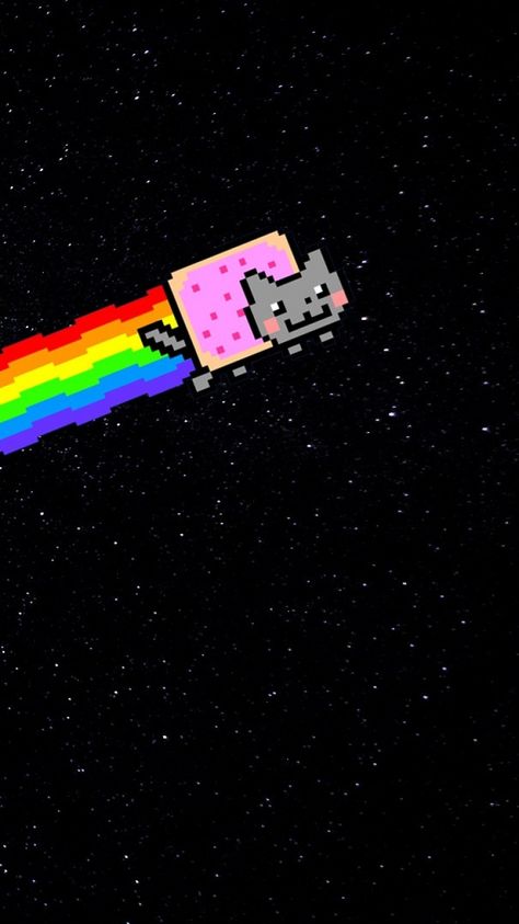 Nyan Cat Wallpapers, Scene Wallpaper Iphone, Scenecore Wallpaper, Cat Wallpaper Iphone, Nya Cat, Wallpapers Cat, Glasses Wallpaper, Cat Wallpapers, Scene Wallpaper