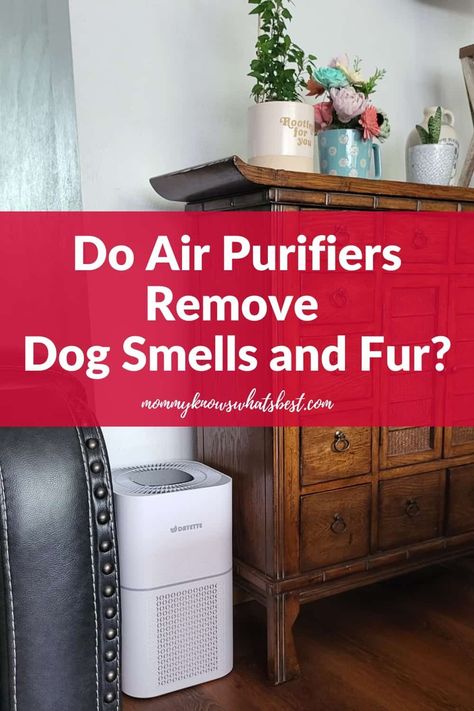 Worried about dog odors and fur? Learn about air purifiers for dog smells and how they can help clean the air in your home. | pets | dogs | tips for dog owners Dogs Tips, Home Pets, Pet Smell, Home Air Purifier, Air Ducts, Dog Smells, Dog Odor, Natural Cleaners, Air Purifiers