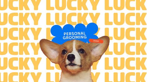 GROOMING SALON/ LOGO & BRAND IDENTITY | Images :: Behance Grooming Salon Logo, Dog Brand, Brand Photoshoot, Personal Grooming, Grooming Salon, Dog Branding, Logo Design Branding, Logo Brand Identity, Animal Graphic