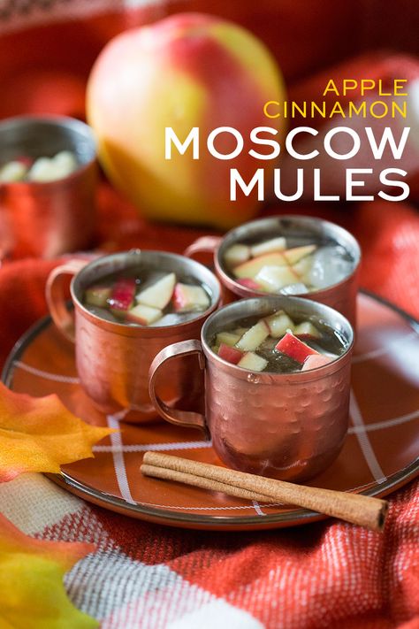 Mule Cocktails, Moscow Mules, Moscow Mule Recipe, Mule Recipe, Fall Drink, Seasonal Cocktail, Fruit Cocktail, Vegan Drinks, Best Cocktail Recipes