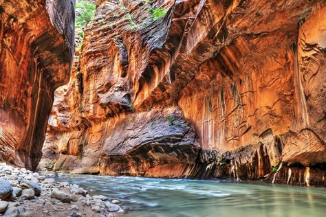 8 Incredible Places You Need to Visit in Southwest USA • Our Globetrotters Zion National Park Lodging, Goblin Valley State Park, Visit Utah, Southwest Usa, Zion Canyon, Zion National Park Utah, Capitol Reef National Park, Valley Of Fire, Utah National Parks