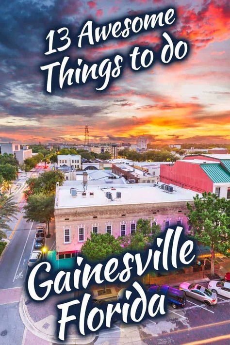 Gainesville Florida Things To Do, Things To Do In Gainesville Fl, Florida Travel Destinations, Colleges In Florida, Road Trip Places, Usa Florida, Lifestyle Board, Places In Florida, Gainesville Florida