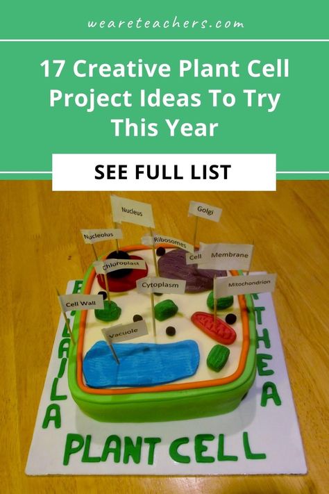 Biology Project Ideas, Plant Cells Project Ideas, 3d Cell Project, Plant Cell Cake, 3d Plant Cell, Edible Cell Project, Plant Cell Project, Edible Cell, Plant Cell Diagram