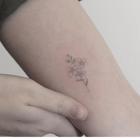 Tiny Dogwood Flower Tattoo, Dogwood Flower Tattoo, Dogwood Tattoo, Dogwood Flower Tattoos, Pacific Dogwood, Dogwood Flower, Dogwood Flowers, White Tattoo, Flower Stamp