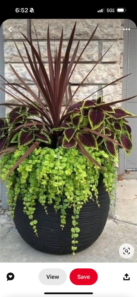 Patio Flower Pots, Potted Plants Patio, Porch Plants, Patio Flowers, Porch Flowers, Container Garden Design, Porch Planters, Potted Plants Outdoor, Planting Ideas