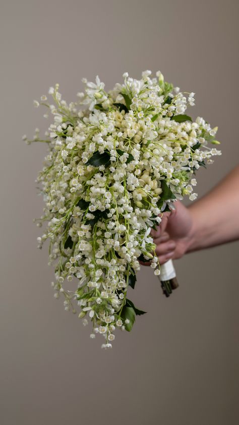 Snowdrop Flower Bouquets, Lily Of The Valley And Peony Bouquet, Jasmine Wedding Flowers, Wedding Bouquet Lily Of The Valley, Lily Of The Valley Hair Piece, Lily If The Valley Bouquet, Posy Bridal Bouquet, Droopy Wedding Bouquet, Wedding Bouquets Lily Of The Valley