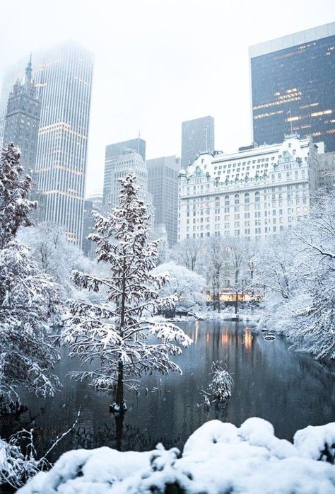 Snow covered Central Park in NYC New York City Manhattan. Central park after a winter blizzard snow storm. New York Snow, New York Landmarks, New York Winter, Nyc Christmas, New York City Manhattan, Winter Szenen, Nyc Park, Central City, New York Aesthetic