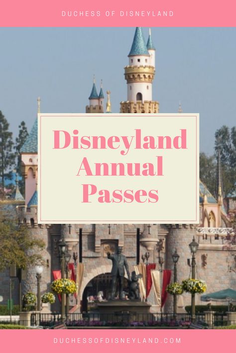 Disneyland Annual Passes Disneyland Height Requirements, Mickeys Halloween Party Costumes, Disneyland Vacation Planning, Vacation Prep, Mickey Halloween Party, Surprise Vacation, Disneyland Secrets, Disneyland Rides, Disney World Food