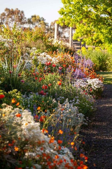 Sunny Garden, Australian Native Garden, Cottage Garden Design, Australian Garden, Backyard Landscape, Garden Wallpaper, Have Inspiration, Native Garden, Hardy Plants