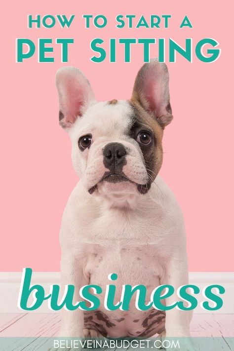 How To Start A Dog Sitting Business, How To Become A Pet Sitter, Tips For Pet Sitting, Petsitting Business Tips, How To Start A Pet Sitting Business, How To Start A Dog Walking Business, Pet Sitting Business Names, Pet Boarding Business Ideas, Pet Business Ideas