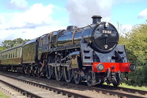 Lion Roar, Heritage Railway, St Pancras, Steam Engines, Chelsea Football Club, Chelsea Football, Central Station, Steam Engine, Steam Locomotive